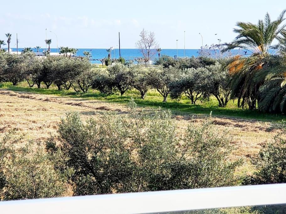 Villa Utopia Paphos Exterior foto